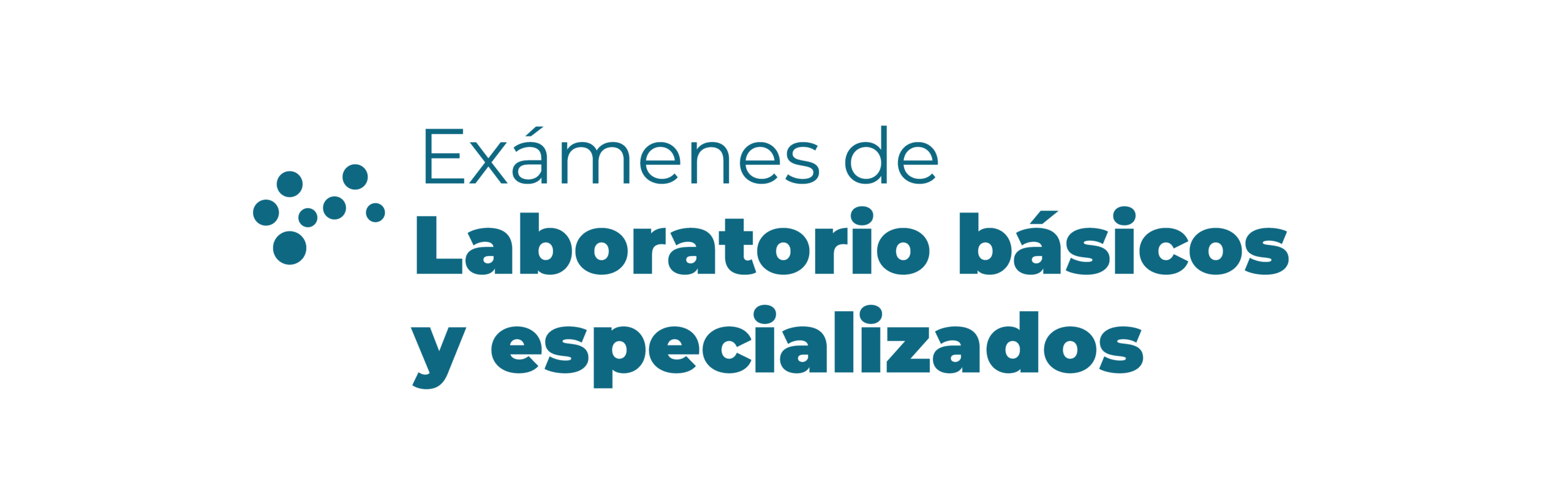 Galería servicios 01